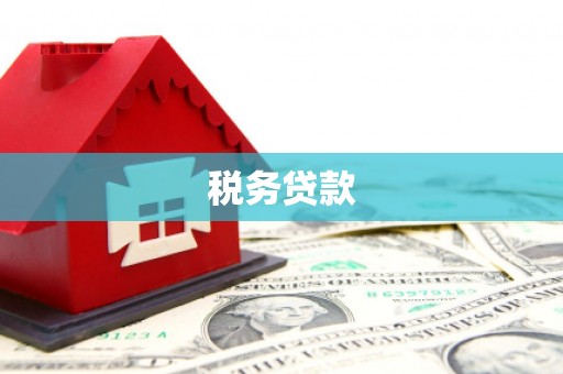 温岭税务贷款