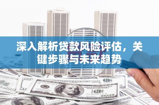 温岭深入解析贷款风险评估，关键步骤与未来趋势