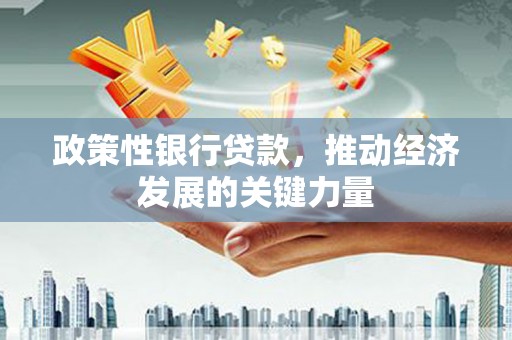 温岭政策性银行贷款，推动经济发展的关键力量