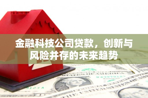 温岭金融科技公司贷款，创新与风险并存的未来趋势