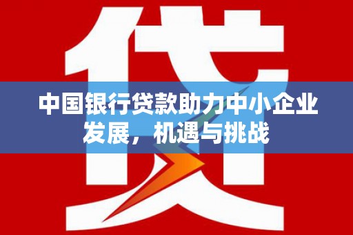 温岭中国银行贷款助力中小企业发展，机遇与挑战