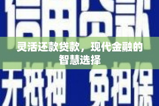 温岭灵活还款贷款，现代金融的智慧选择