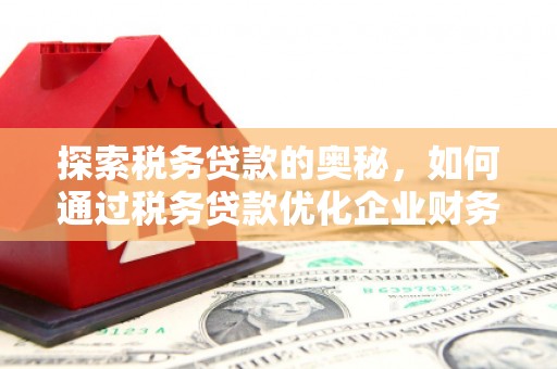 温岭探索税务贷款的奥秘，如何通过税务贷款优化企业财务