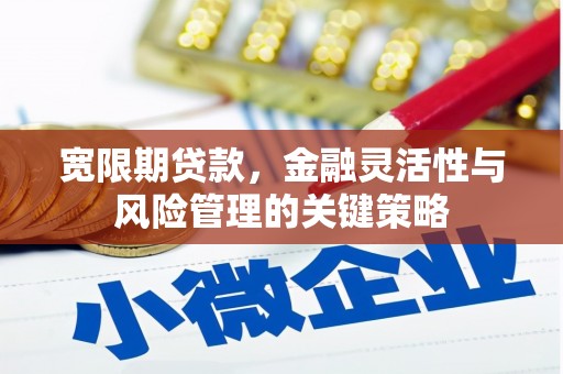 温岭宽限期贷款，金融灵活性与风险管理的关键策略