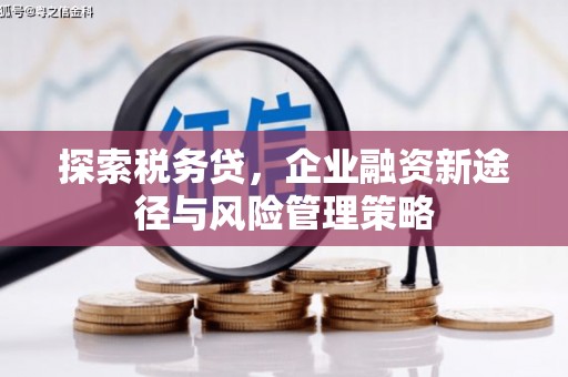 温岭探索税务贷，企业融资新途径与风险管理策略