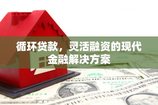 温岭循环贷款，灵活融资的现代金融解决方案