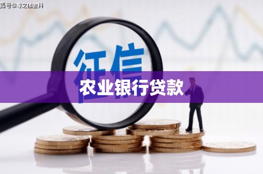 温岭农业银行贷款