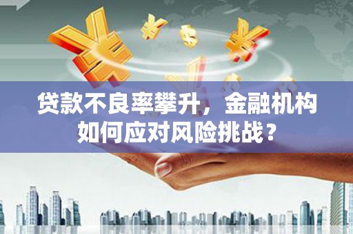 温岭贷款不良率攀升，金融机构如何应对风险挑战？