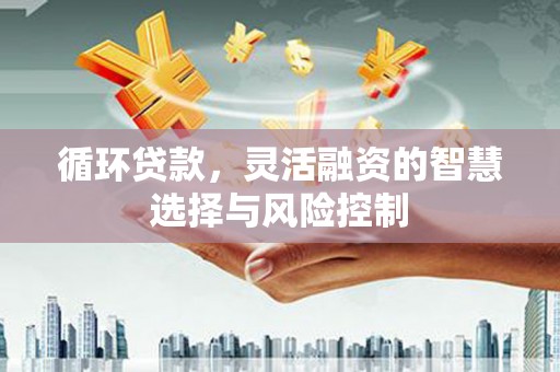 温岭循环贷款，灵活融资的智慧选择与风险控制