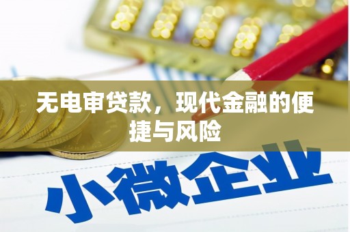 温岭无电审贷款，现代金融的便捷与风险