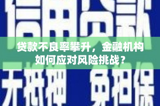 温岭贷款不良率攀升，金融机构如何应对风险挑战？