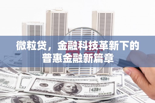 温岭微粒贷，金融科技革新下的普惠金融新篇章