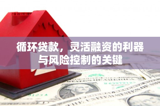 温岭循环贷款，灵活融资的利器与风险控制的关键