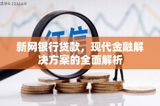 温岭新网银行贷款，现代金融解决方案的全面解析