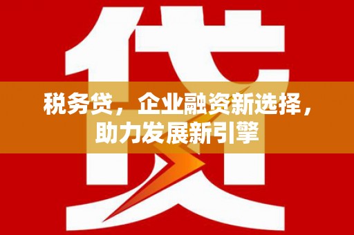 温岭税务贷，企业融资新选择，助力发展新引擎