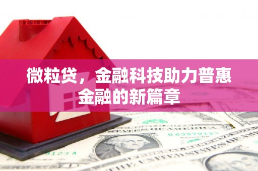 温岭微粒贷，金融科技助力普惠金融的新篇章