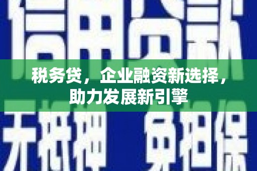 温岭税务贷，企业融资新选择，助力发展新引擎