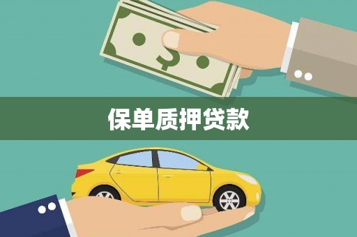 温岭保单质押贷款