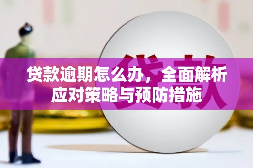温岭贷款逾期怎么办，全面解析应对策略与预防措施