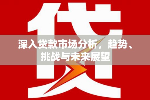 温岭深入贷款市场分析，趋势、挑战与未来展望
