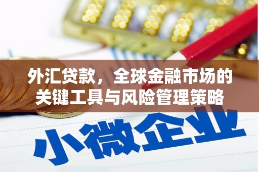 温岭外汇贷款，全球金融市场的关键工具与风险管理策略
