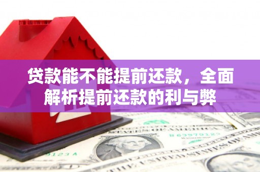 温岭贷款能不能提前还款，全面解析提前还款的利与弊