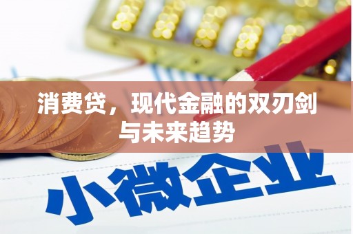 温岭消费贷，现代金融的双刃剑与未来趋势