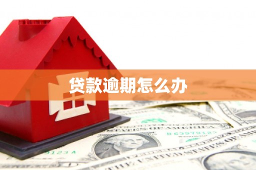 温岭贷款逾期怎么办