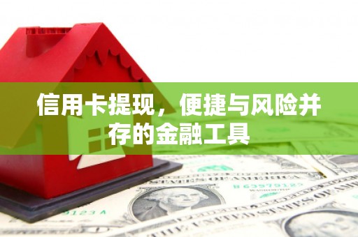 温岭信用卡提现，便捷与风险并存的金融工具