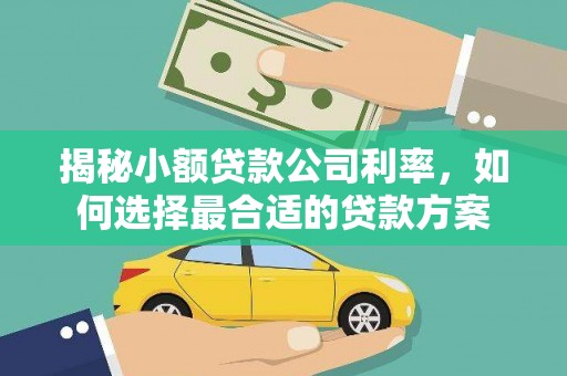 温岭揭秘小额贷款公司利率，如何选择最合适的贷款方案