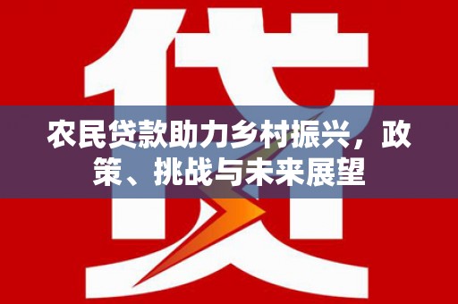 温岭农民贷款助力乡村振兴，政策、挑战与未来展望