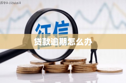 温岭贷款逾期怎么办