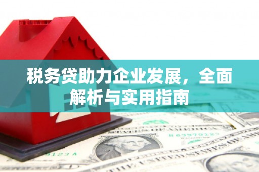 温岭税务贷助力企业发展，全面解析与实用指南