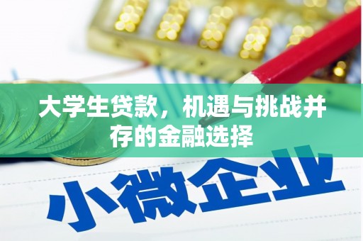 温岭大学生贷款，机遇与挑战并存的金融选择