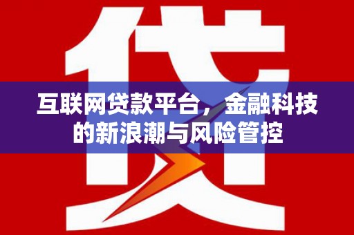 温岭互联网贷款平台，金融科技的新浪潮与风险管控