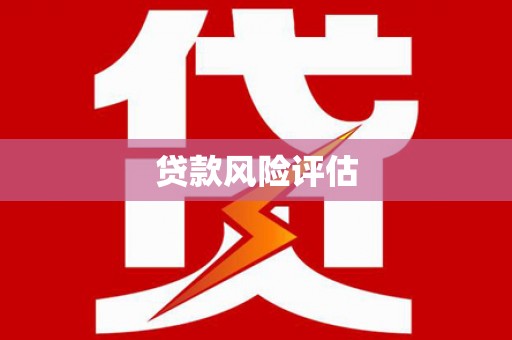温岭贷款风险评估