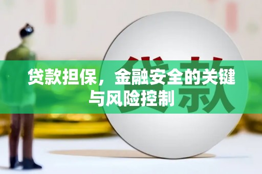 温岭贷款担保，金融安全的关键与风险控制