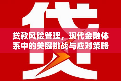 温岭贷款风险管理，现代金融体系中的关键挑战与应对策略