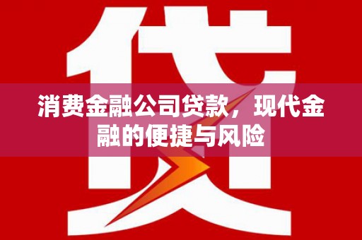 温岭消费金融公司贷款，现代金融的便捷与风险