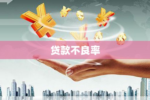 温岭贷款不良率
