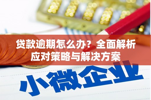 温岭贷款逾期怎么办？全面解析应对策略与解决方案