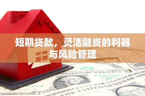 温岭短期贷款，灵活融资的利器与风险管理
