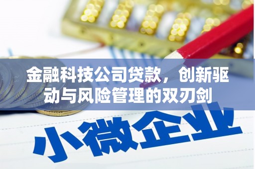 温岭金融科技公司贷款，创新驱动与风险管理的双刃剑